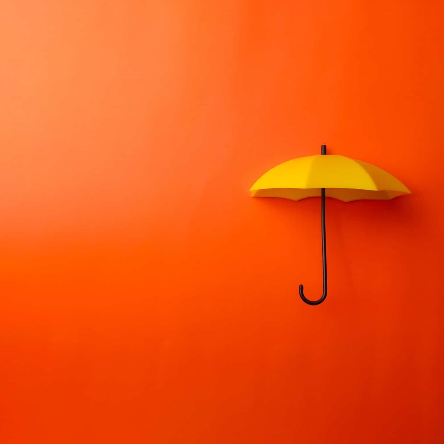 New Image For Website