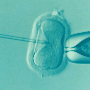 Green IVF image
