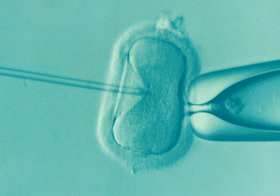 Green IVF image